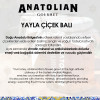 Anatolian Gourmet Yayla Çiçek Balı 400G - 4