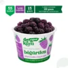 Dokuru Original Böğürtlen Atıştırmalık Meyve Cipsi