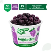 Dokuru Original Böğürtlen Atıştırmalık Meyve Cipsi